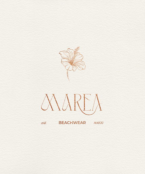 Branding e Design de Marcas, Identidade Visual
