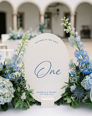 estacionario de casamento table number splendor